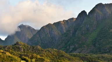 Фото: Prof. Mortel