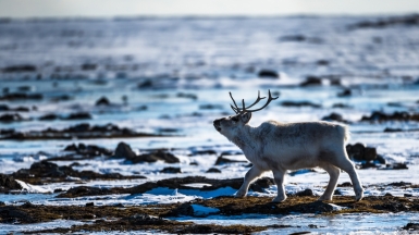 Фото Сергея Доля