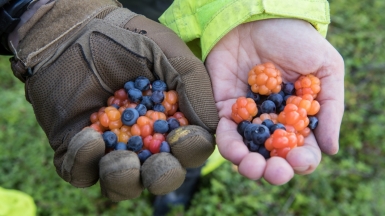 Фото из архива