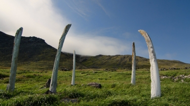 Китовая Аллея. Фото: funtopia.tv, visualhunt.com