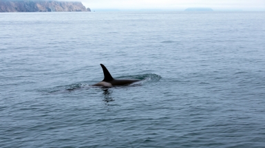 Фото из архива Клуба