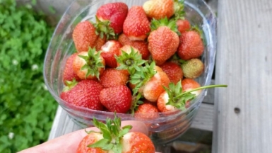 Фото гида Андрея Ткачева