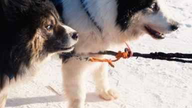 Фото: Антон Г. www.uniq.photo