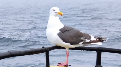 Фото из архива Клуба