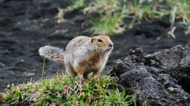 Фото нашего Странника Владимира Гущина