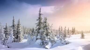 Фото: 02irina, depositphotos.com