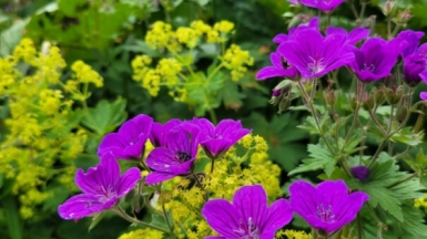 Фото нашего гида Анны Шереметьевой