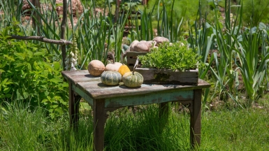 Фото нашей Странницы Татьяны Руновой