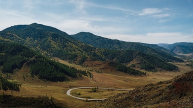 Фото: Nick Night, unsplash.com