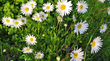 Фото нашей Странницы Татьяны Парцей