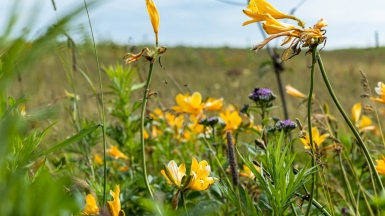 Фото из архива Клуба