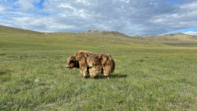 Фото наших Странников
