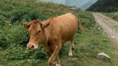 Фото наших Странников