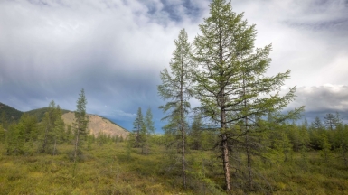 Фото нашего гида Михаила Верёвченко