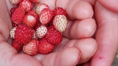 Фото наших Странников