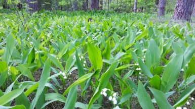 Фото нашего гида Михаила Зачёскина