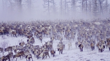 Фото нашего гида Дмитрия Эскина