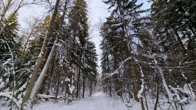 Фото нашего гида Александра Чудновского