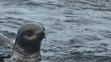 Фото наших Странников