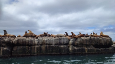 Фото из архива Клуба