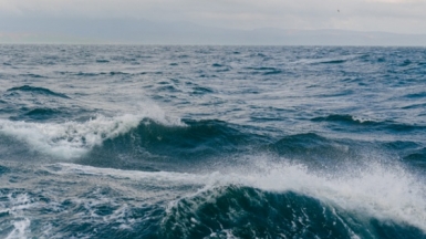 Фото из архива Клуба