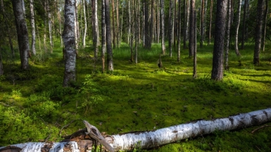 Фото нашего гида Михаила Верёвченко