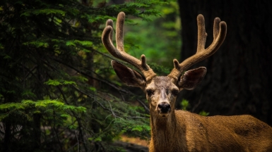 Фото: Chloe Leis, unsplash.com