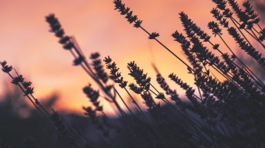 Фото: Валерия, unsplash.com