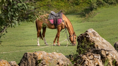 Фото нашего Странника Бориса Гольдберга