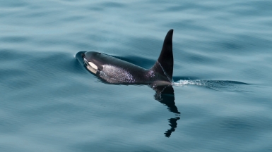 Фото из архива Клуба