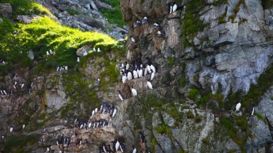 Фото из архива Клуба