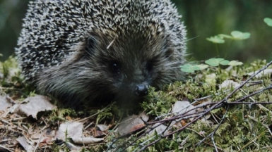 Фото: Anton Sobotyak on Unsplash