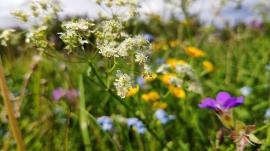Фото нашего гида Евгении Скопиной