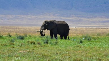 Фото: pratap singh, unsplash.com