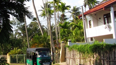 Фото нашего гида Лики Майстровой
