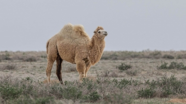 Фото нашего гида Михаила Верёвченко
