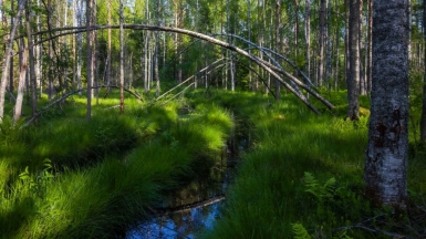 Фото нашего гида Михаила Верёвченко