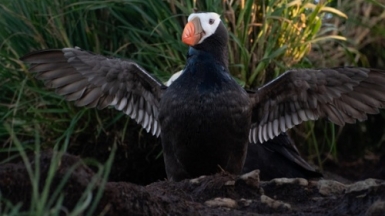 Фото из архива Клуба