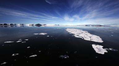 Фото: Christopher.Michel, visualhunt.com