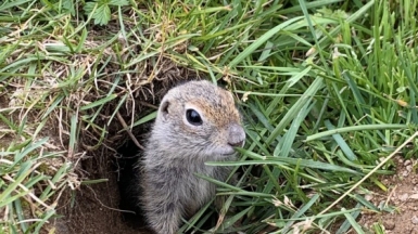 Фото наших Странников