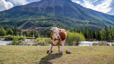 Фото нашего Странника Дмитрия Кочерыгина