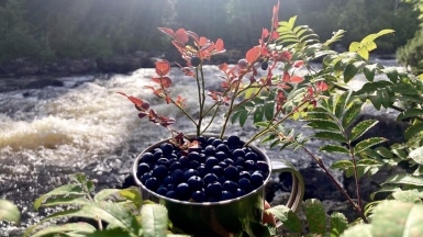 Фото нашей Странницы Татьяны Ладыкиной