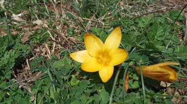 Фото нашего гида Галины Шелудько