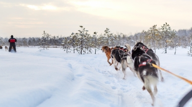 Фото из архива Клуба