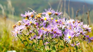 Фото из архива Клуба