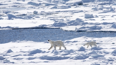 Фото: Christopher.Michel. Источник: visualhunt.com