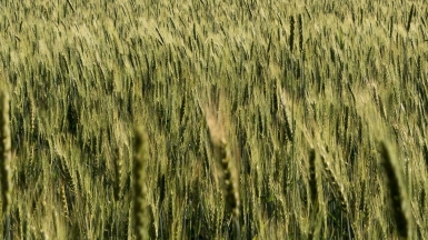 Фото Александра Рыбакова