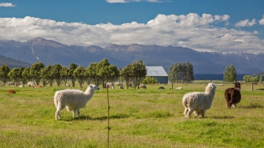 Фото нашей Странницы Татьяны Руновой