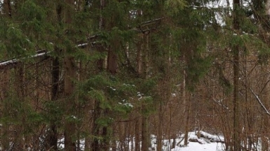 Фото гида Александра Чудновских