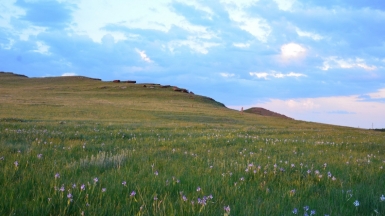 Фото Радюк Н.В., экскурсовода музея-заповедника «Сундуки»